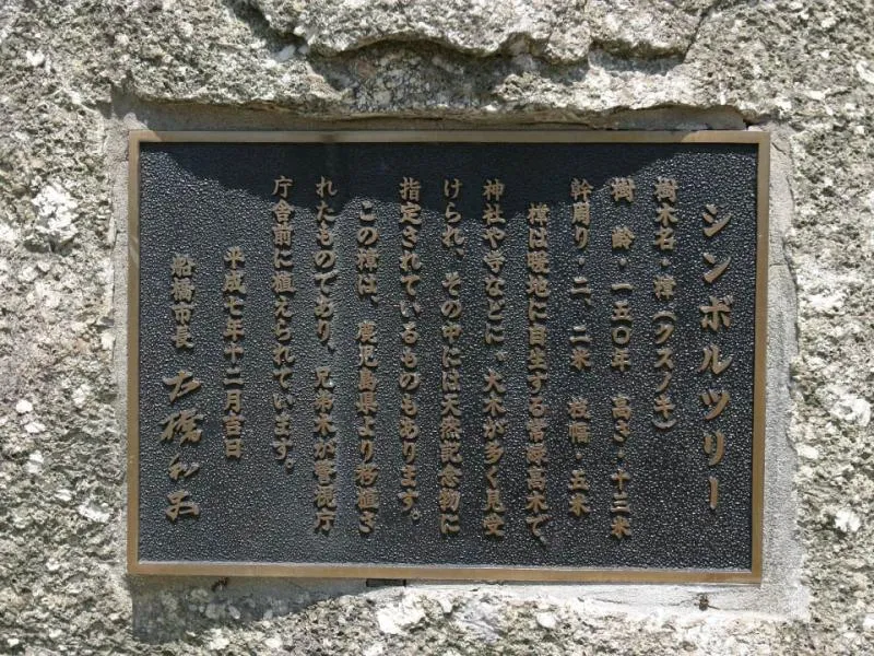 シンボルツリー拡大画像