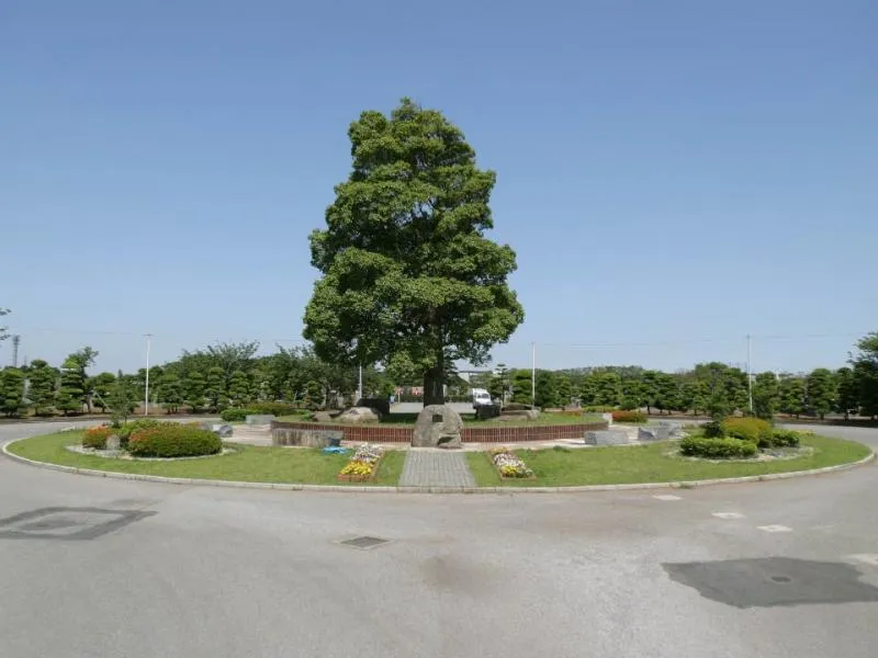 シンボルツリー拡大画像