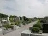 墓域