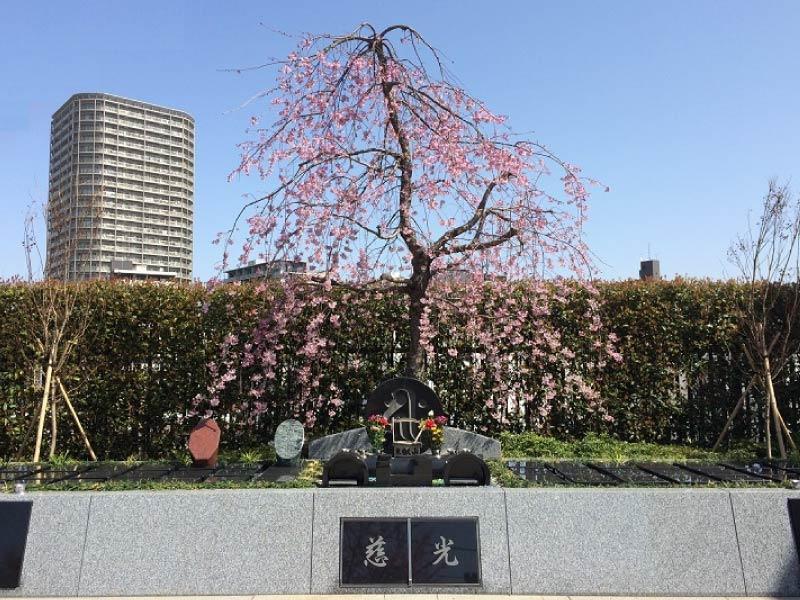 津梁院 第二霊園