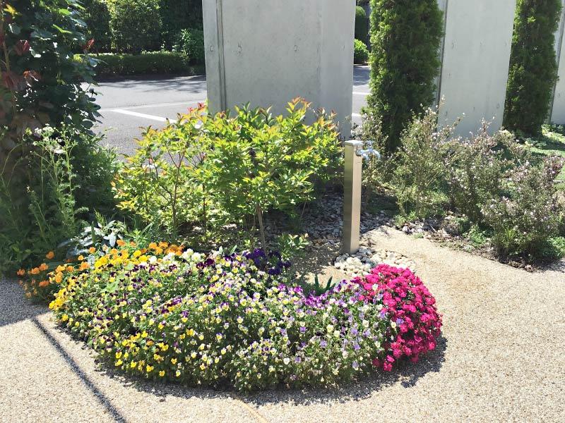 華やかな植栽