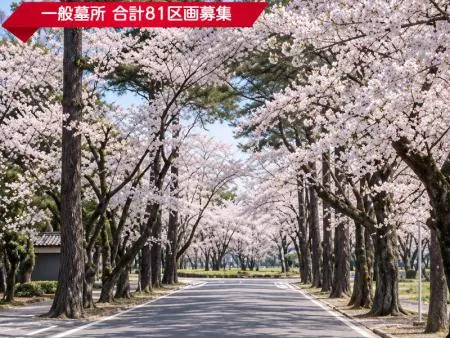 千葉市営桜木霊園