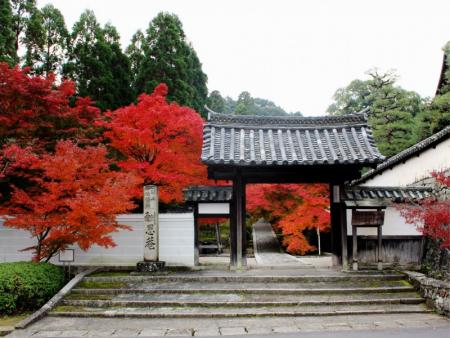 酬恩庵 一休寺