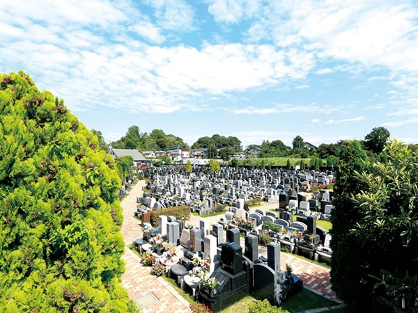 敷地内は緑地や通路などを広くとり、公園を思わせる開放感あふれる空間となっています