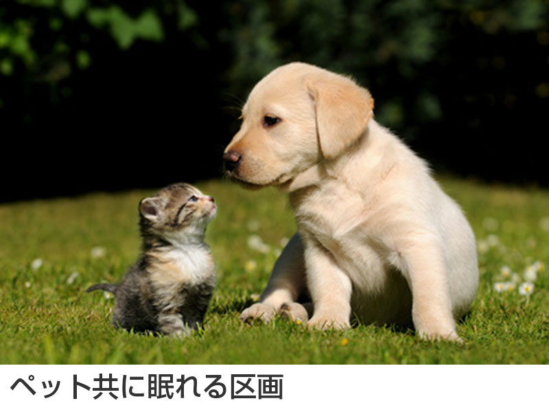 ペットとともに眠れる区画
