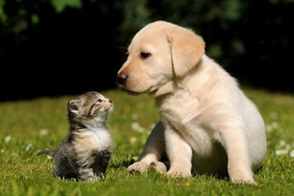 ふたり墓所　樹木葬3