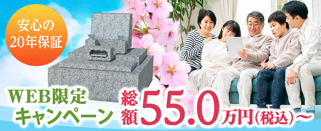 WEB限定55.0円